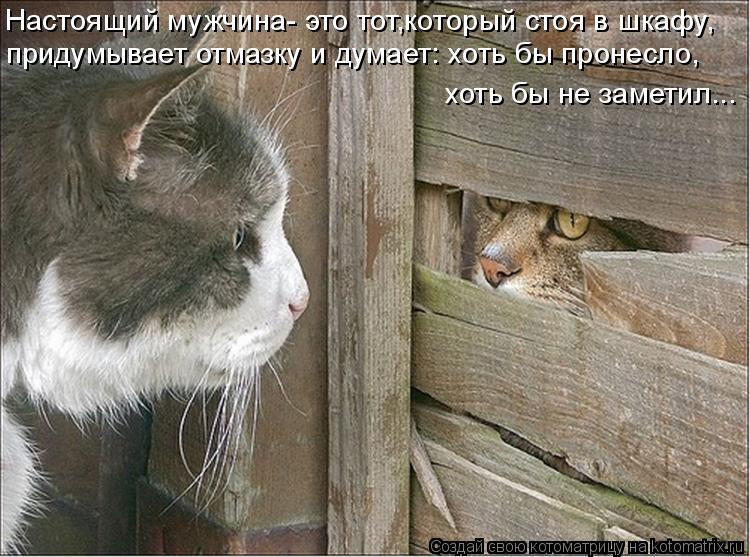 Настоящий мужчина- это тот,который стоя в шкафу, придумывает отмазку и думает: хоть бы пронесло, хоть... Котоматрица: Настоящий мужчина- это тот,который стоя в шкафу, придумывает отмазку и думает: хоть бы пронесло, хоть бы не заметил...