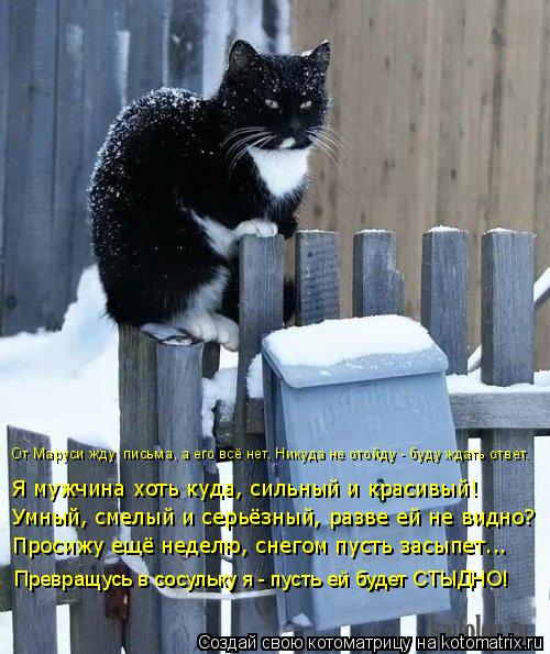 Oт Маруси жду письма, а его всё нет. Никуда не отойду - буду ждать ответ. Я мужчина хоть куда, сильн... Котоматрица: Oт Маруси жду письма, а его всё нет. Никуда не отойду - буду ждать ответ. Я мужчина хоть куда, сильный и красивый! Умный, смелый и серьёзный, ра