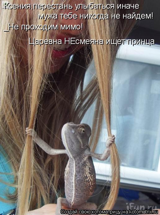 Ксения,перестань улыбаться иначе мужа тебе никогда не найдем! _Не проходим мимо! Царевна НЕсмеяна и... Котоматрица: Ксения,перестань улыбаться иначе мужа тебе никогда не найдем! _Не проходим мимо! Царевна НЕсмеяна ищет принца