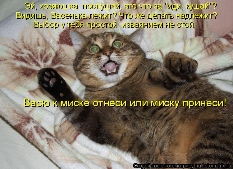 Котоматрица: Эй, хозяюшка, послушай, это что за "иди, кушай"? Видишь, Васенька лежит? Что же делать надлежит? Выбор у тебя простой: изваянием не стой, Васю к 