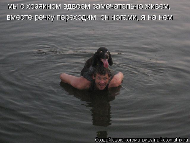 мы с хозяином вдвоем замечательно живем, вместе речку переходим: он ногами, я на нем... Котоматрица: мы с хозяином вдвоем замечательно живем, вместе речку переходим: он ногами, я на нем