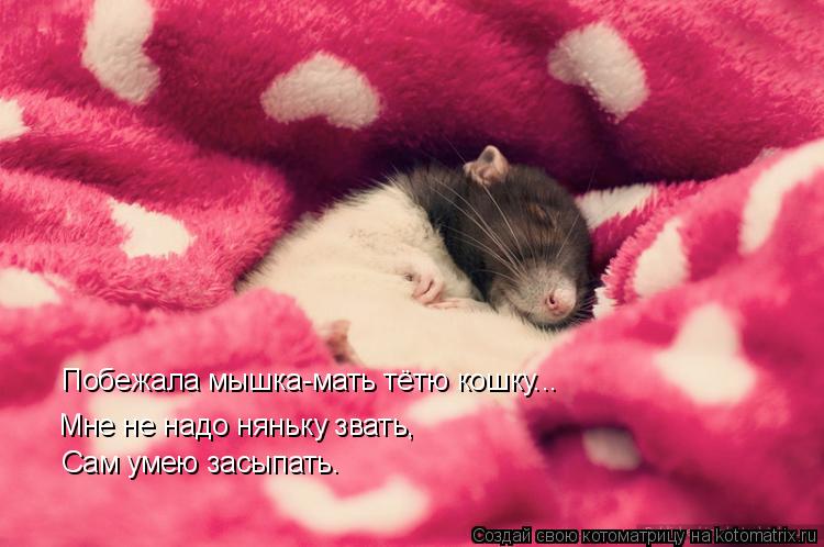 Котоматрица: Мне не надо няньку звать, Сам умею засыпать. Побежала мышка-мать тётю кошку...