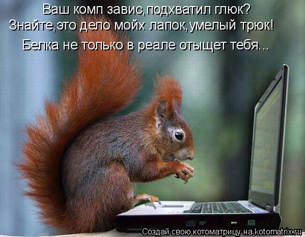 Ваш комп завис,подхватил глюк? Знайте,это дело мойх лапок,умелый трюк! Белка не только в реале отыщет... Котоматрица: Ваш комп завис,подхватил глюк? Знайте,это дело мойх лапок,умелый трюк! Белка не только в реале отыщет тебя...