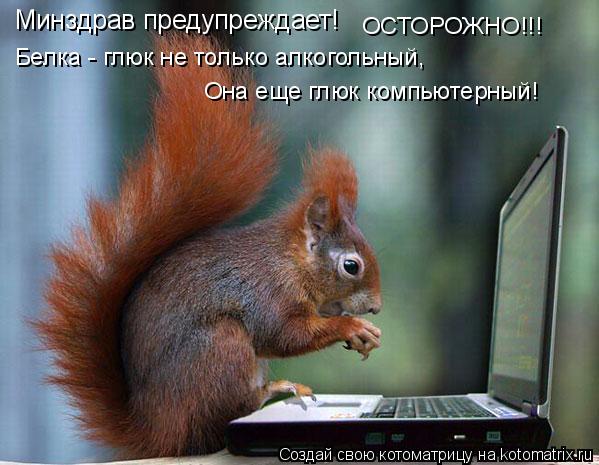 Минздрав предупреждает! Белка - глюк не только алкогольный, Она еще глюк компьютерный! ОСТОРОЖНО!!!... Котоматрица: Минздрав предупреждает! Белка - глюк не только алкогольный, Она еще глюк компьютерный! ОСТОРОЖНО!!!