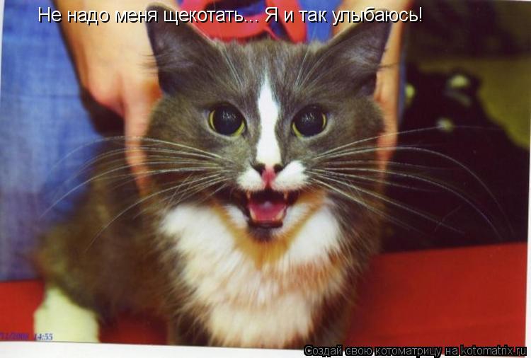 Котоматрица: Не надо меня щекотать... Я и так улыбаюсь!