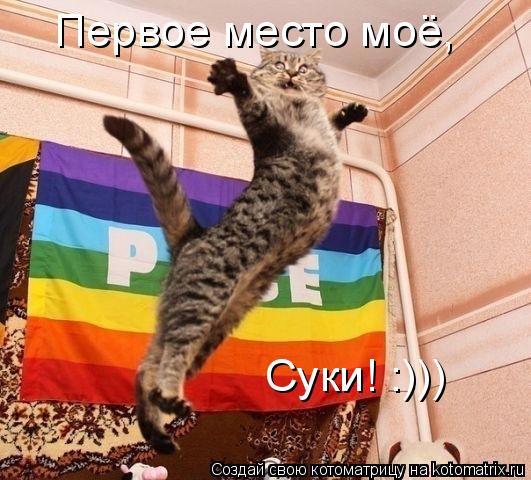 Котоматрица: Первое место моё,  Суки! :)))