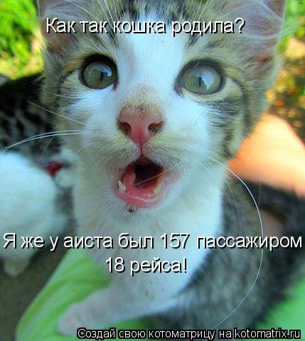 Котоматрица: Как так кошка родила? Я же у аиста был 157 пассажиром 18 рейса!