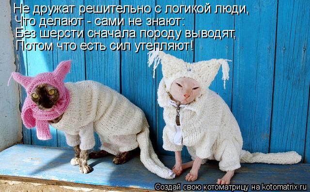 Не дружат решительно с логикой люди, Что делают - сами не знают: Без шерсти сначала породу выводят, П... Котоматрица: Не дружат решительно с логикой люди, Что делают - сами не знают: Без шерсти сначала породу выводят, Потом что есть сил утепляют!