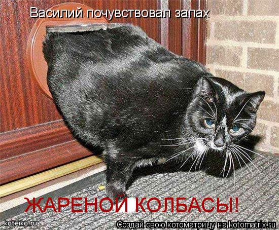 Котоматрица: Василий почувствовал запах ЖАРЕНОЙ КОЛБАСЫ!
