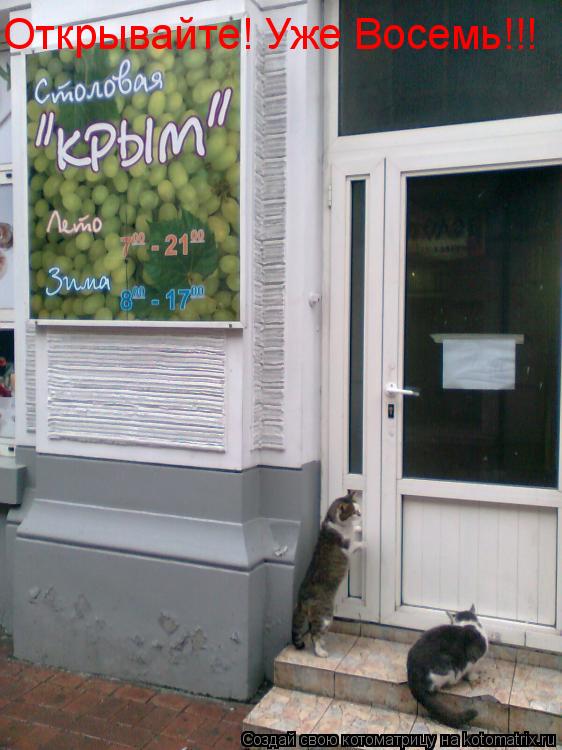 Котоматрица: Открывайте! Уже Восемь!!!