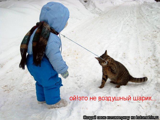 Котоматрица: ой!это не воздушный шарик...