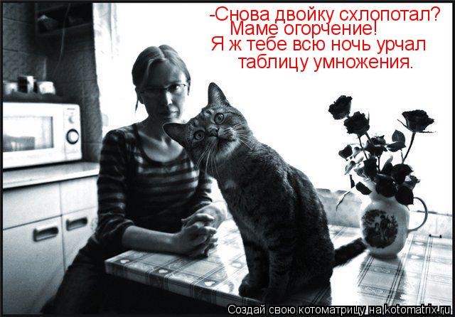 -Снова двойку схлопотал? таблицу умножения. Маме огорчение! Я ж тебе всю ночь урчал... Котоматрица: -Снова двойку схлопотал? таблицу умножения. Маме огорчение! Я ж тебе всю ночь урчал