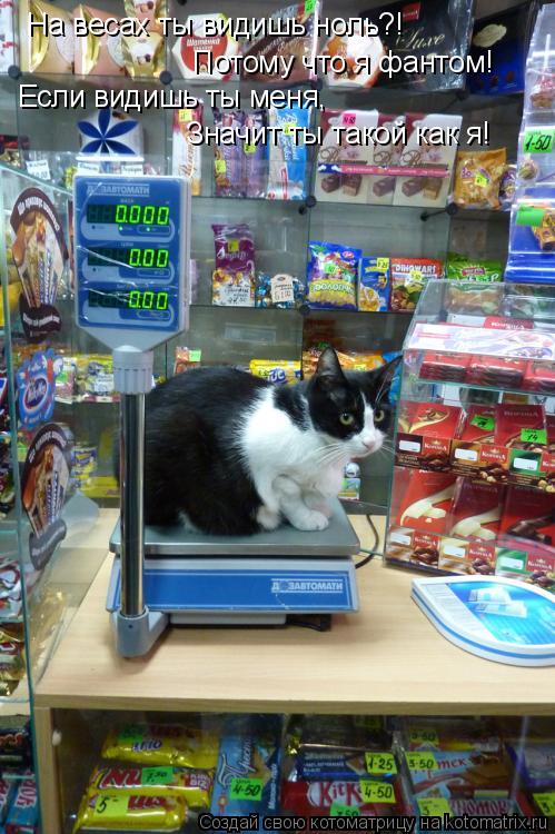 Котоматрица: На весах ты видишь ноль?! Потому что я фантом!  Если видишь ты меня, Значит ты такой как я!