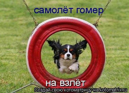 Котоматрица: на взлёт самолёт гомер