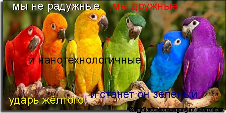 Котоматрица: мы не радужные ,мы дружные и нанотехнологичные ударь жёлтого и станет он зелёный