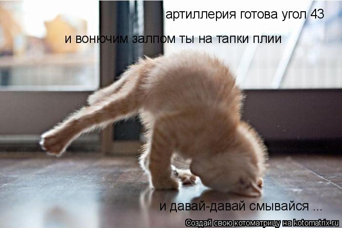 Котоматрица: артиллерия готова угол 43 и вонючим залпом ты на тапки плии и давай-давай смывайся ...