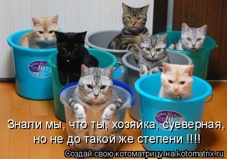 Котоматрица: Знали мы, что ты, хозяйка, суеверная, но не до такой же степени !!!!