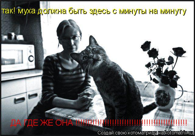 Котоматрица: так! муха должна быть здесь с минуты на минуту ДА ГДЕ ЖЕ ОНА !!!!!!!!!!!!!!!!!!!!!!!!!!!!!!!!!!!!!!!!!!!!!!