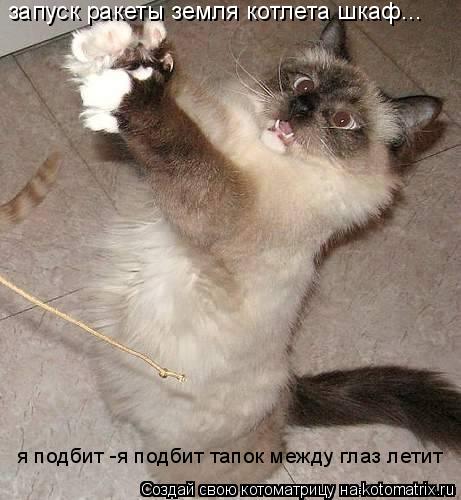 Котоматрица: запуск ракеты земля котлета шкаф... я подбит -я подбит тапок между глаз летит