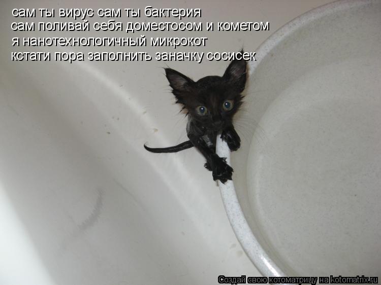 Котоматрица: сам ты вирус сам ты бактерия  сам поливай себя доместосом и комето м я нанотехнологичный микрокот  кстати пора заполнить заначку сосисек