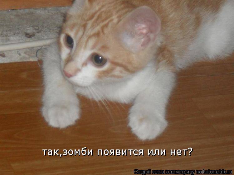 Котоматрица: так,зомби появится или нет?