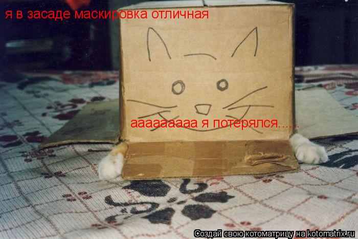 Котоматрица: я в засаде маскировка отличная  ааааааааа я потерялся......