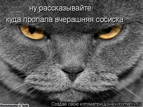 Котоматрица: ну рассказывайте куда пропала вчерашняя сосиска