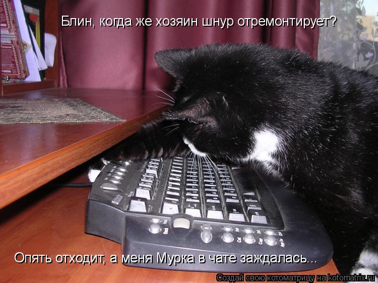 Котоматрица: Блин, когда же хозяин шнур отремонтирует?  Опять отходит, а меня Мурка в чате заждалась... Опять отходит, а меня Мурка в чате заждалась...