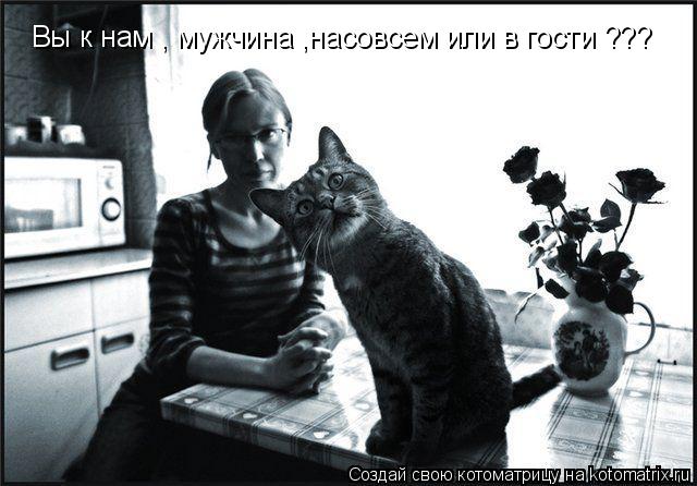 Котоматрица: Вы к нам , мужчина ,насовсем или в гости ???