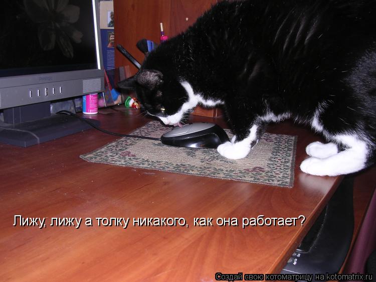 Котоматрица: Лижу, лижу а толку никакого, как она работает?