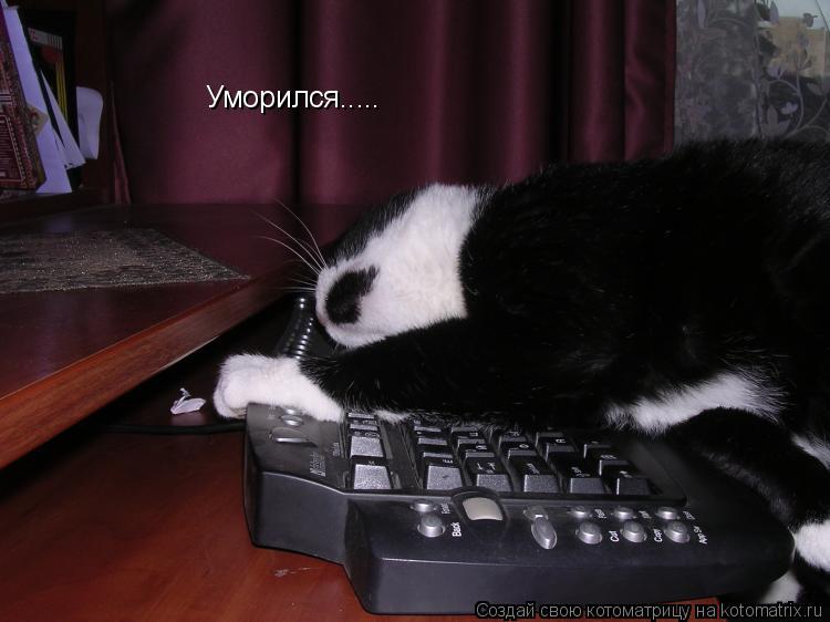 Котоматрица: Уморился.....