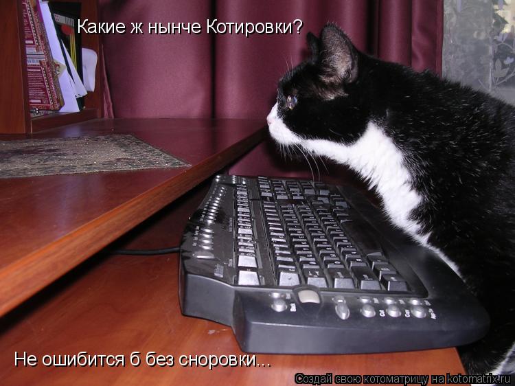 Котоматрица: Какие ж нынче Котировки? Не ошибится б без сноровки...