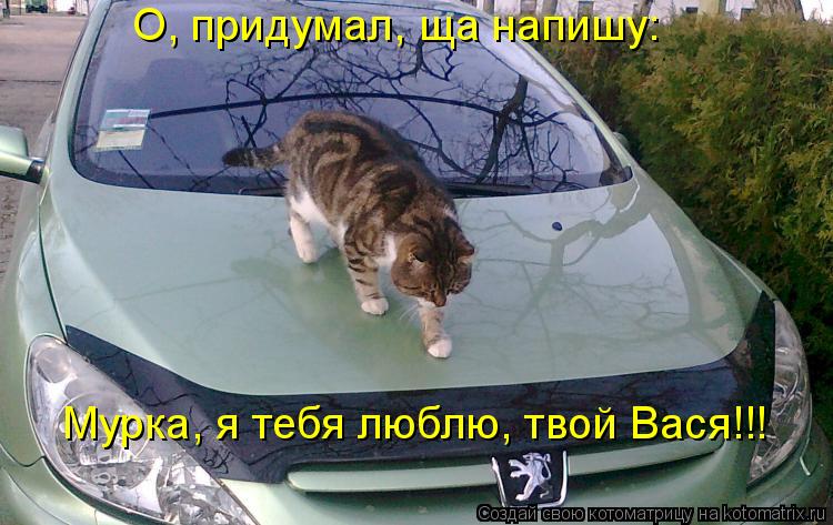 Котоматрица: О, придумал, ща напишу:  Мурка, я тебя люблю, твой Вася!!!