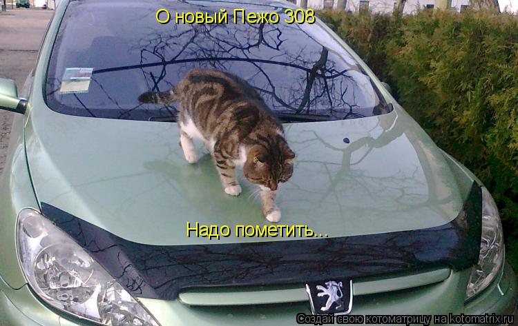 Котоматрица: О новый Пежо 308 Надо пометить...