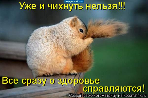Котоматрица: Уже и чихнуть нельзя!!! Все сразу о здоровье  справляются!
