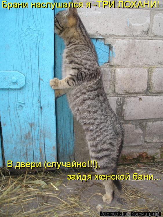 Брани наслушался я -ТРИ ЛОХАНИ! В двери (случайно!!!), зайдя женской бани...... Котоматрица: Брани наслушался я -ТРИ ЛОХАНИ! В двери (случайно!!!), зайдя женской бани...
