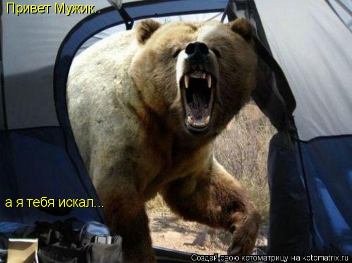 Котоматрица: Привет Мужик.. а я тебя искал...
