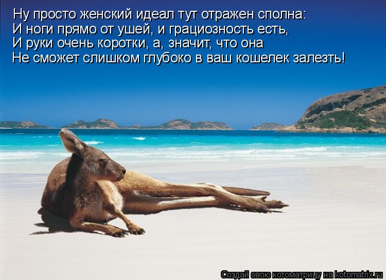 Котоматрица: Ну просто женский идеал тут отражен сполна: И ноги прямо от ушей, и грациозность есть, И руки очень коротки, а, значит, что она Не сможет слишк
