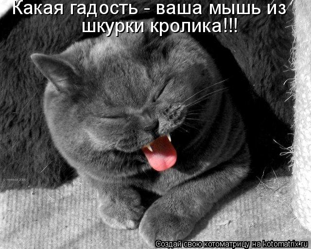 Котоматрица: шкурки кролика!!! Какая гадость - ваша мышь из