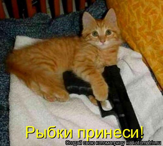 Котоматрица: Рыбки принеси!