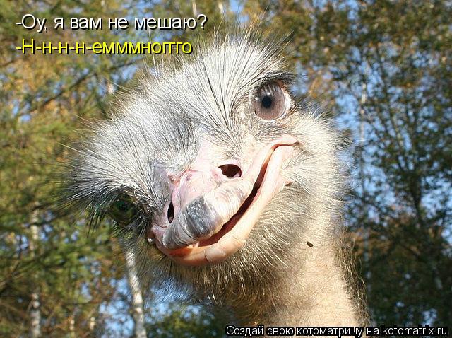 Котоматрица: -Оу, я вам не мешаю? -Н-н-н-н-емммноггго