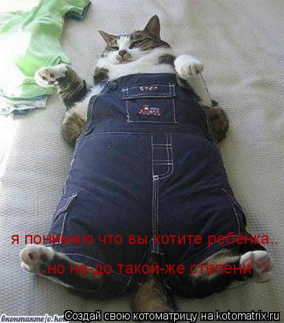 Котоматрица: я понимаю что вы хотите ребёнка.. ..но не-до такой-же степени