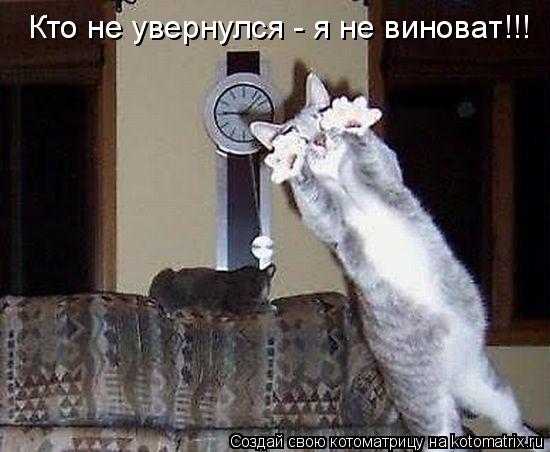 Кто не увернулся - я не виноват!!!... Котоматрица: Кто не увернулся - я не виноват!!!