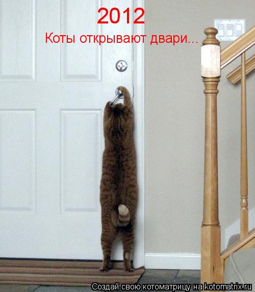 2012 Коты открывают двари...... Котоматрица: 2012 Коты открывают двари...