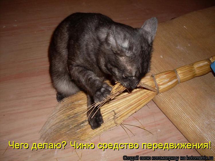 Чего делаю? Чиню средство передвижения!... Котоматрица: Чего делаю? Чиню средство передвижения!