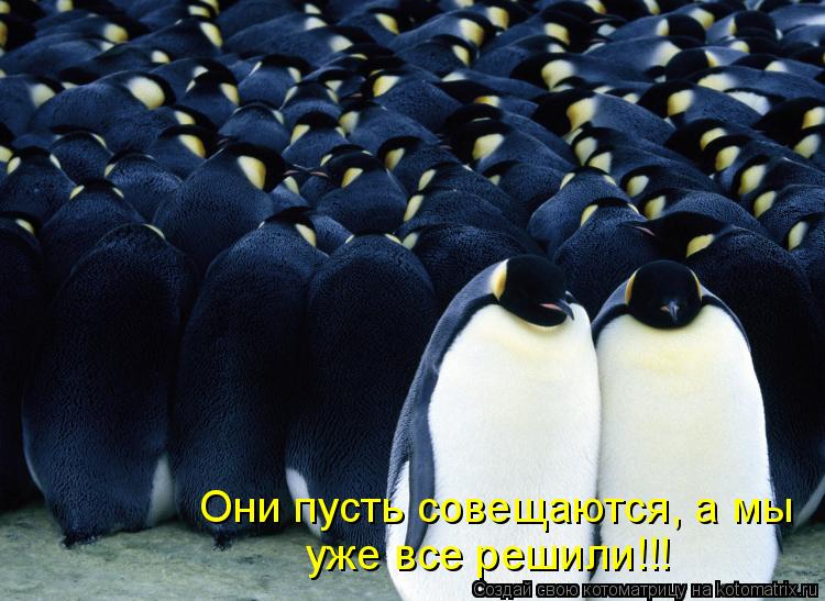 Они пусть совещаются, а мы уже все решили!!!... Котоматрица: Они пусть совещаются, а мы уже все решили!!!