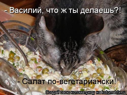 - Василий, что ж ты делаешь?! - Салат по-вегетариански!... Котоматрица: - Василий, что ж ты делаешь?! - Салат по-вегетариански!