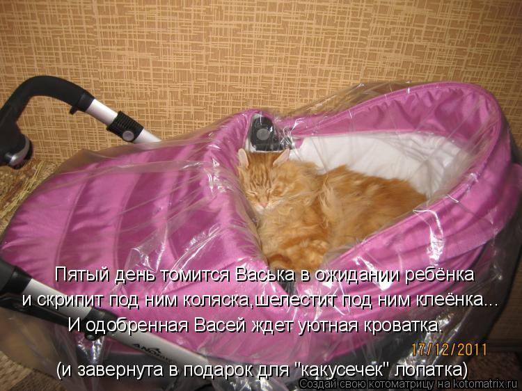 Пятый день томится Васька в ожидании ребёнка и скрипит под ним коляска,шелестит под ним клеёнка... И ... Котоматрица: Пятый день томится Васька в ожидании ребёнка и скрипит под ним коляска,шелестит под ним клеёнка... И одобренная Васей ждет уютная кроватка. (
