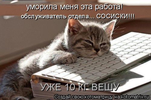уморила меня эта работа! обслуживатель отдела... СОСИСКИ!!! УЖЕ 10 КГ ВЕШУ... Котоматрица: уморила меня эта работа! обслуживатель отдела... СОСИСКИ!!! УЖЕ 10 КГ ВЕШУ