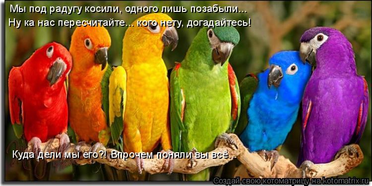 Мы под радугу косили, одного лишь позабыли... Ну ка нас пересчитайте... кого нету, догадайтесь! Куда ... Котоматрица: Мы под радугу косили, одного лишь позабыли... Ну ка нас пересчитайте... кого нету, догадайтесь! Куда дели мы его?! Впрочем поняли вы всё...